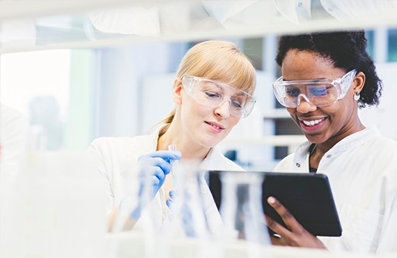 Improve Performance & Collaboration