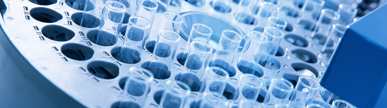 Process Knowledge Management