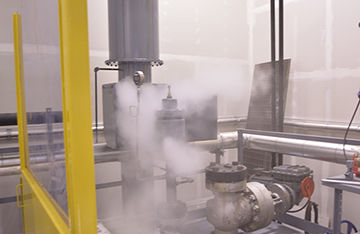 Steam Steam