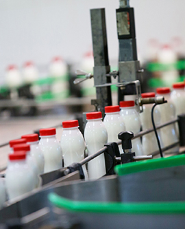 Dairy, Cheese & Yogurt Dairy, Cheese & Yogurt